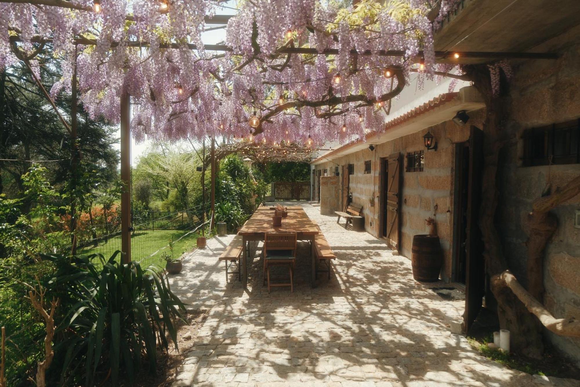 Casa Da Alvarinha Privacidade Conforto Natureza Paredes  Exterior photo